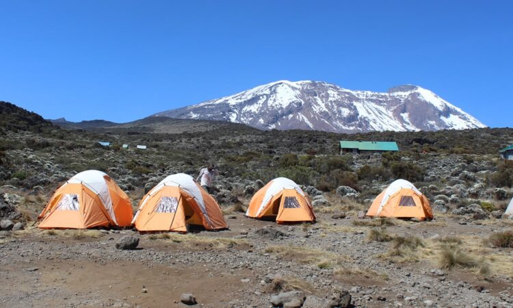Second Cave → Kikelewa → Mawenzi Tarn